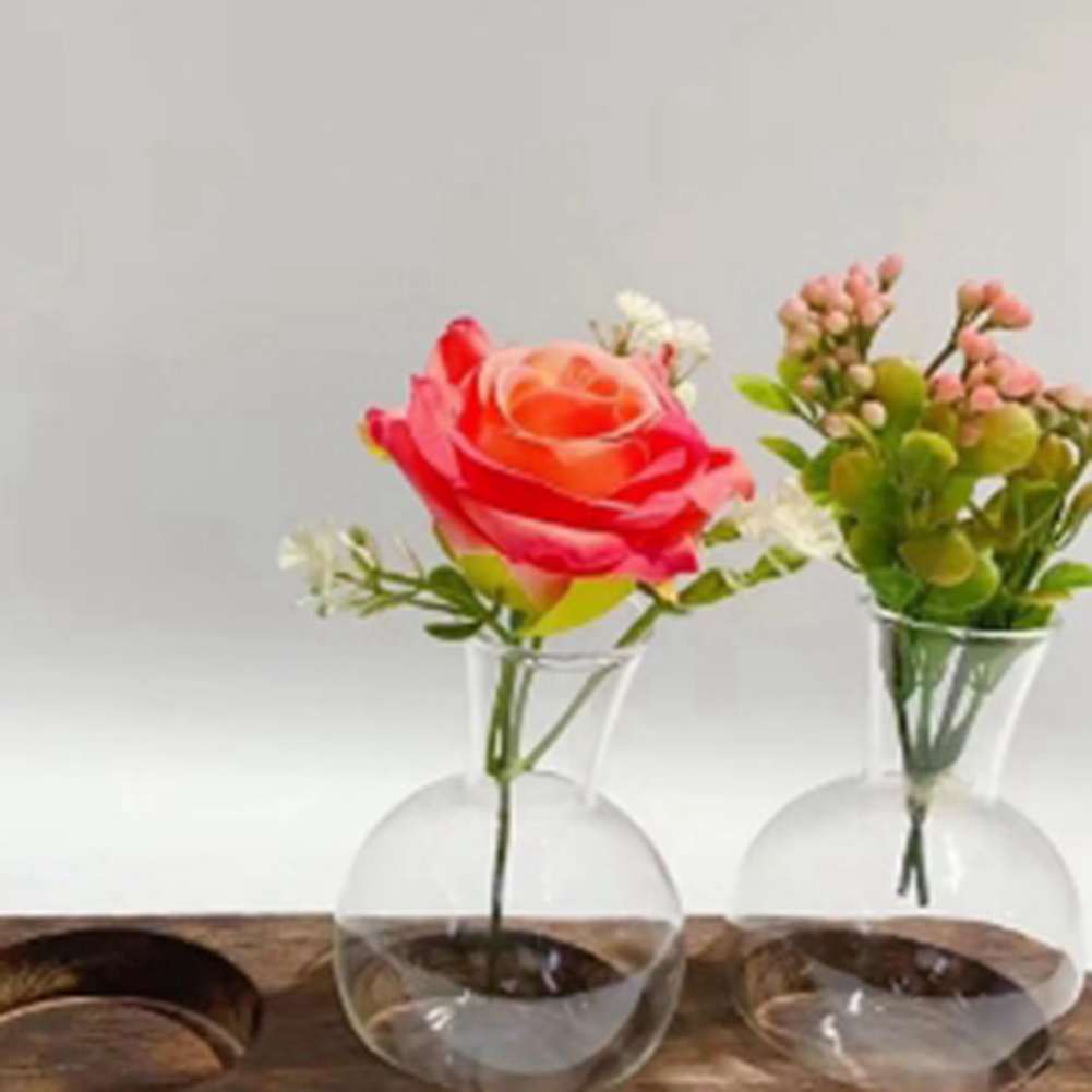 75STO-แจกันพืช Hydroponic Vint - Propagation Station Vase บทวิจารณ์และราคา