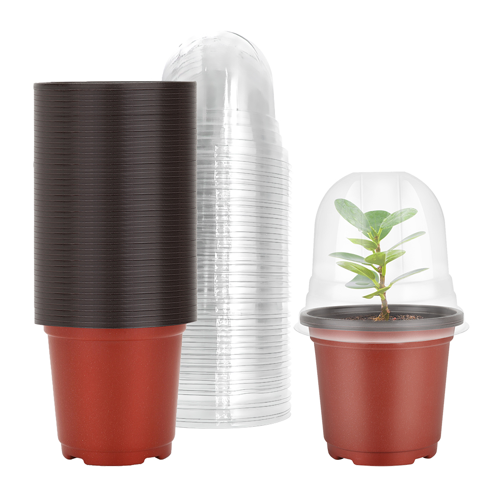 Plant Nursery Pots พร้อมโดมควา - Plastic Dome Clear บทวิจารณ์และราคา