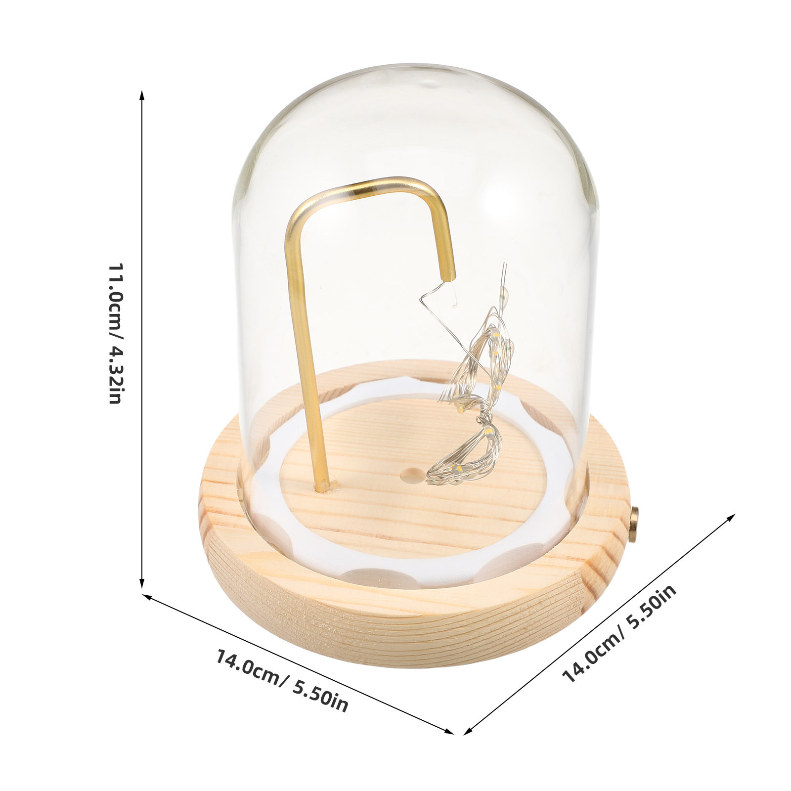 โดมแก้วโชว์สินค้าพร้อมฐานไม้ ข - Plastic Dome Clear บทวิจารณ์และราคา